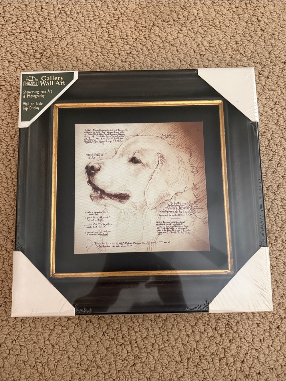 Gallery Wall Art Framed Dog Sketch - Black & Gold